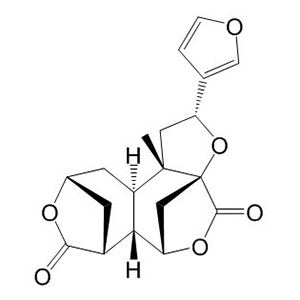 黃獨乙素