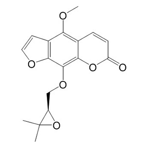 白當(dāng)歸腦
